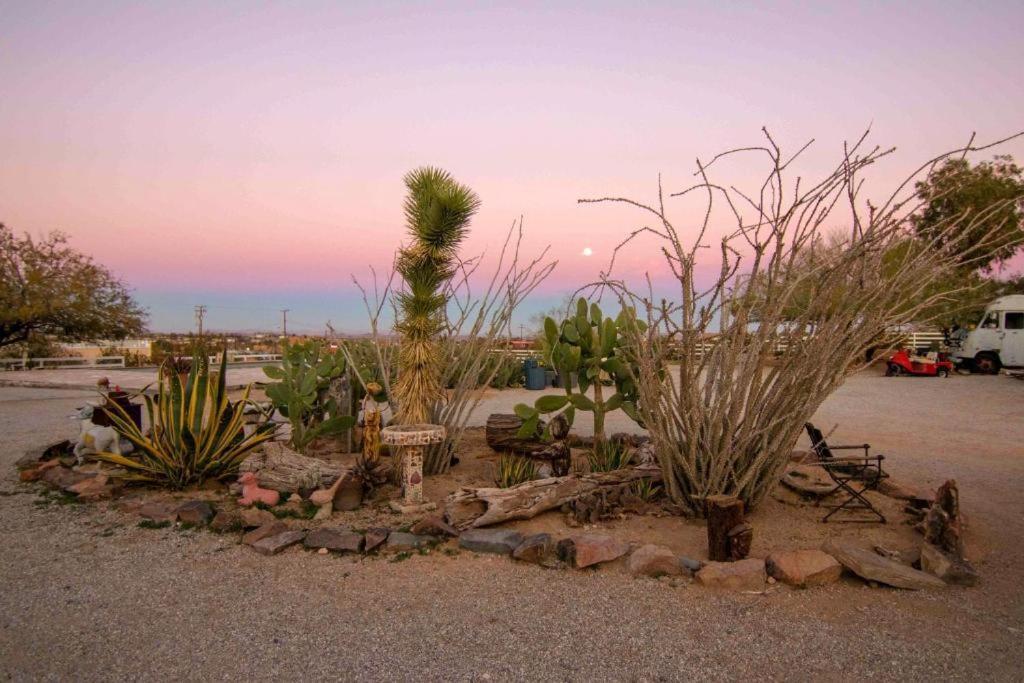 Joshua Tree Ranch House Motel - Downtown - Room #4 Екстериор снимка
